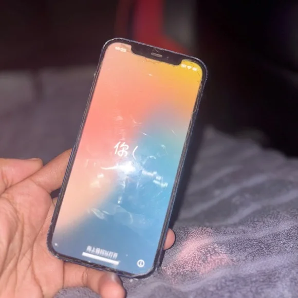 Apple iPhone - Black